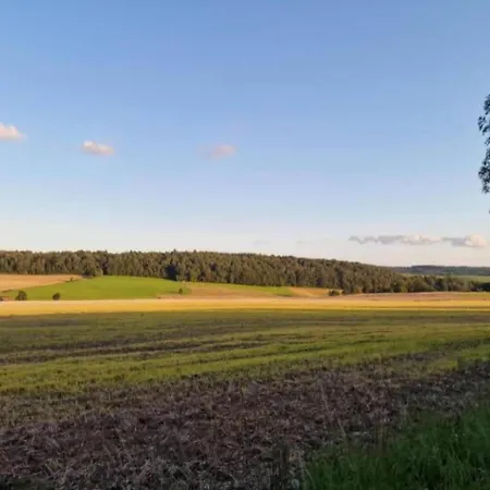 펜션 In La Roche-en-ardenne With Garden *