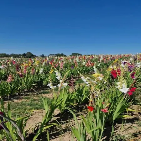 In La Roche-en-ardenne With Garden