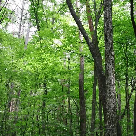 In La Roche-en-ardenne With Garden 주필레
